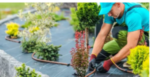 expert gardening services