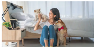 buy pet friendly apartment
