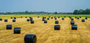 strong silage wrap