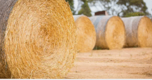 baler twine